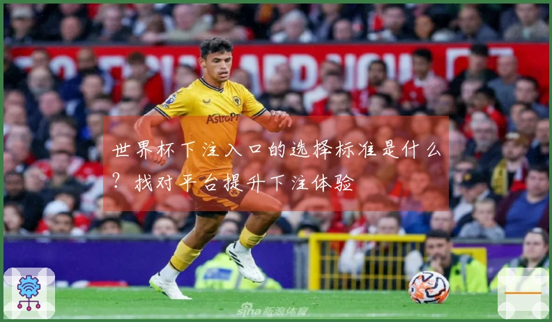 世界杯下注入口的选择标准是什么？找对平台提升下注体验