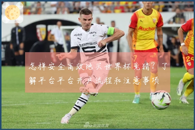 怎样安全高效地买世界杯竞猜？了解平台平台开户流程和注意事项