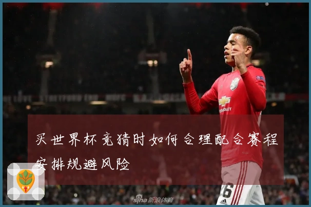 买世界杯竞猜时如何合理配合赛程安排规避风险