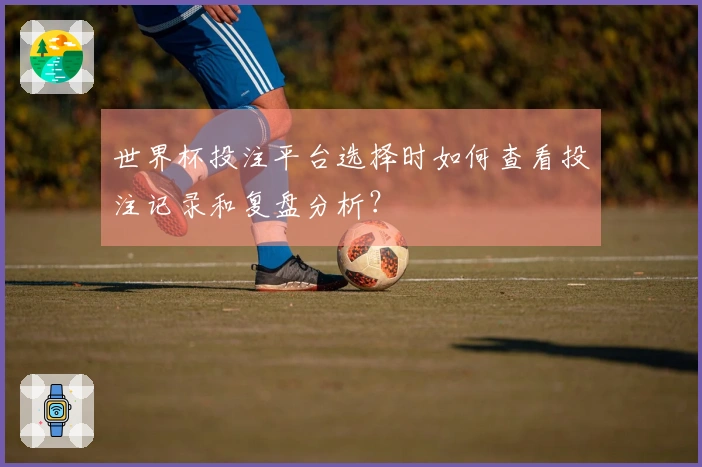 世界杯投注平台选择时如何查看投注记录和复盘分析？