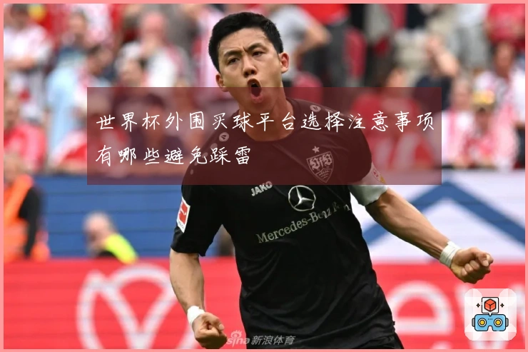 世界杯外围买球平台选择注意事项有哪些避免踩雷